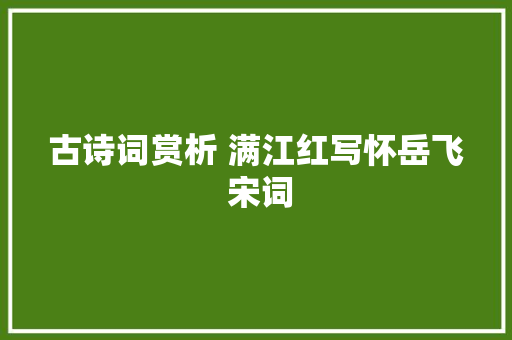 古诗词赏析 满江红写怀岳飞 宋词