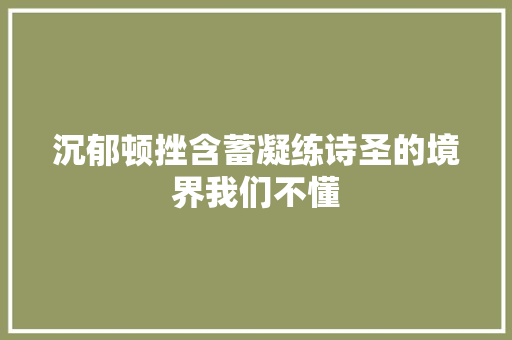 沉郁顿挫含蓄凝练诗圣的境界我们不懂