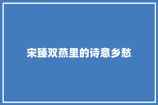 宋臻双燕里的诗意乡愁