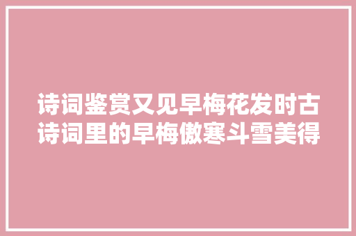 诗词鉴赏又见早梅花发时古诗词里的早梅傲寒斗雪美得残酷