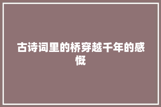 古诗词里的桥穿越千年的感慨