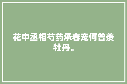 花中丞相芍药承春宠何曾羡牡丹。