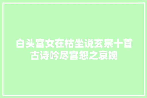 白头宫女在枯坐说玄宗十首古诗吟尽宫怨之哀婉