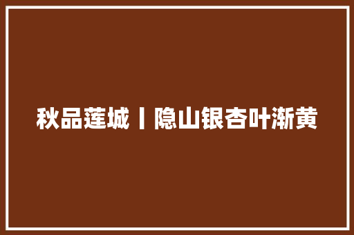 秋品莲城丨隐山银杏叶渐黄