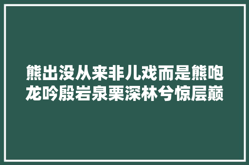熊出没从来非儿戏而是熊咆龙吟殷岩泉栗深林兮惊层巅