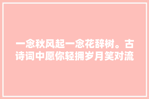 一念秋风起一念花辞树。古诗词中愿你轻拥岁月笑对流年