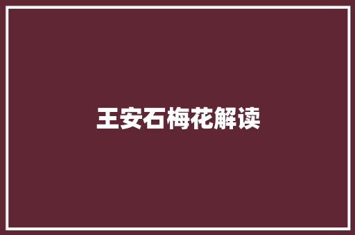 王安石梅花解读