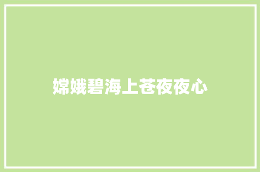 嫦娥碧海上苍夜夜心