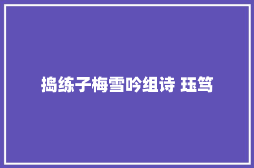 捣练子梅雪吟组诗 珏笃