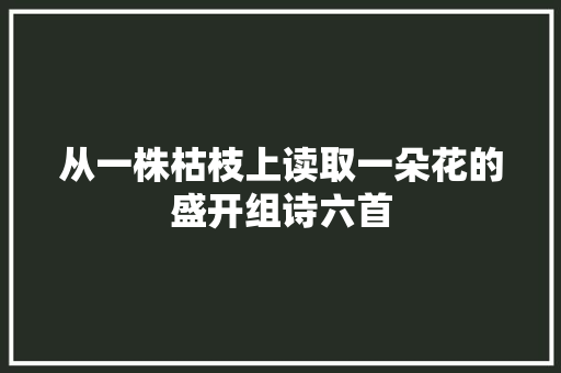 从一株枯枝上读取一朵花的盛开组诗六首