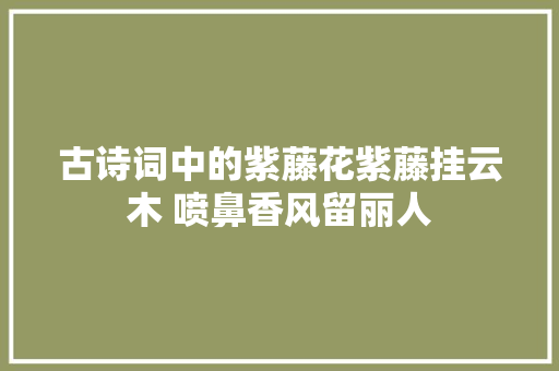 古诗词中的紫藤花紫藤挂云木 喷鼻香风留丽人