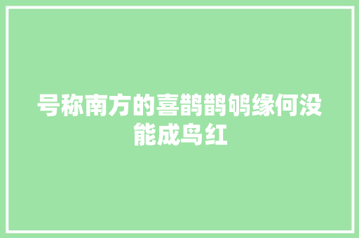 号称南方的喜鹊鹊鸲缘何没能成鸟红