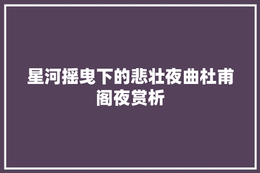星河摇曳下的悲壮夜曲杜甫阁夜赏析