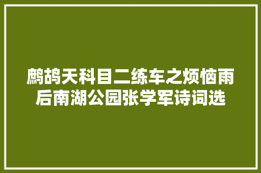 鹧鸪天科目二练车之烦恼雨后南湖公园张学军诗词选