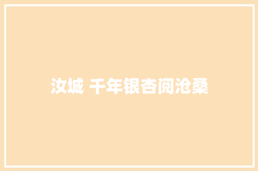 汝城 千年银杏阅沧桑