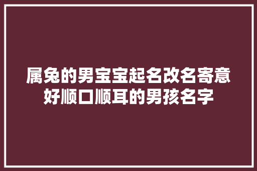 属兔的男宝宝起名改名寄意好顺口顺耳的男孩名字