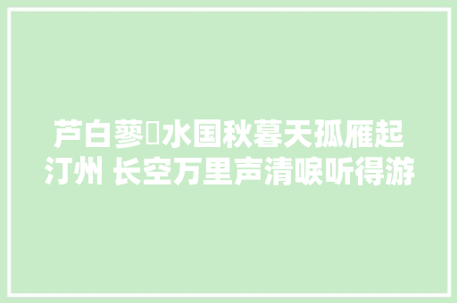 芦白蓼紅水国秋暮天孤雁起汀州 长空万里声清唳听得游