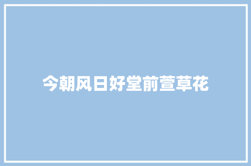 今朝风日好堂前萱草花
