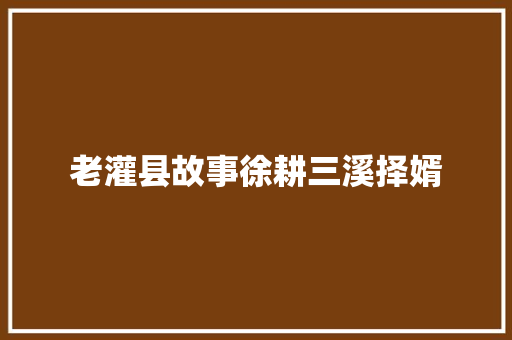老灌县故事徐耕三溪择婿