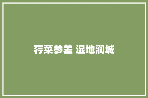 荇菜参差 湿地润城