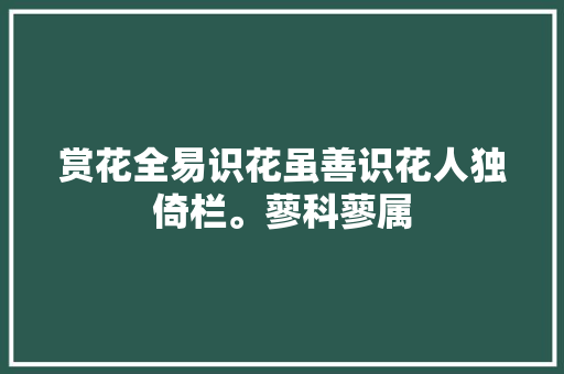 赏花全易识花虽善识花人独倚栏。蓼科蓼属