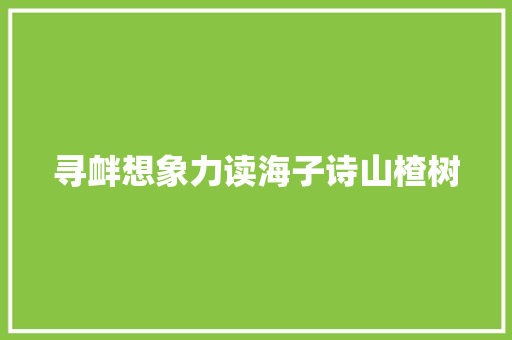 寻衅想象力读海子诗山楂树