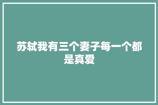 苏轼我有三个妻子每一个都是真爱