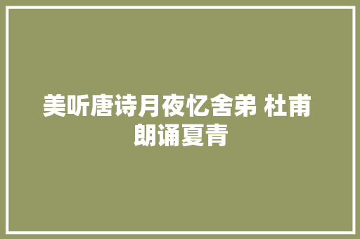 美听唐诗月夜忆舍弟 杜甫 朗诵夏青