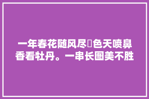 一年春花随风尽囯色天喷鼻香看牡丹。一串长图美不胜收