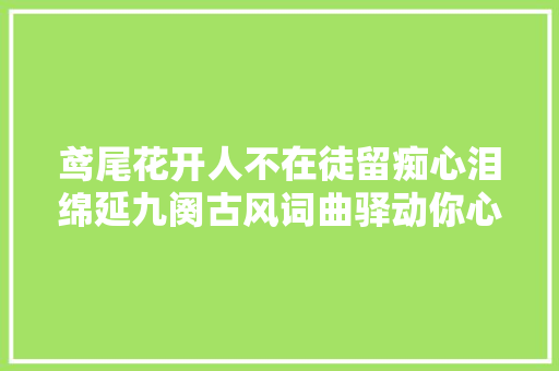 鸢尾花开人不在徒留痴心泪绵延九阕古风词曲驿动你心寰