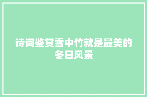 诗词鉴赏雪中竹就是最美的冬日风景