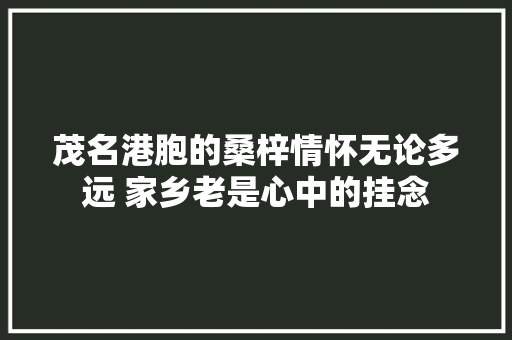 茂名港胞的桑梓情怀无论多远 家乡老是心中的挂念