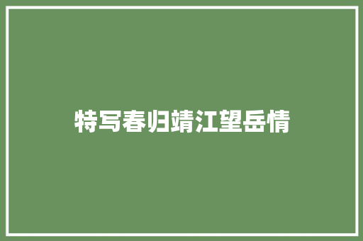 特写春归靖江望岳情