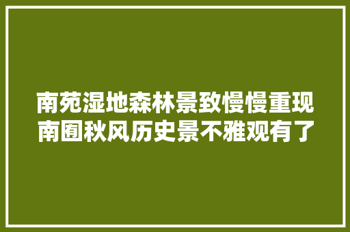 南苑湿地森林景致慢慢重现南囿秋风历史景不雅观有了新内涵
