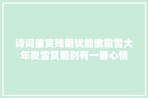 诗词鉴赏残菊犹能傲霜雪大年夜雪赏菊别有一番心情