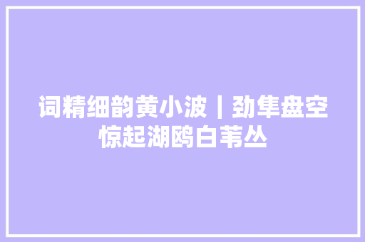 词精细韵黄小波|劲隼盘空惊起湖鸥白苇丛 词精细韵黄小波|劲隼盘空惊起湖鸥白苇丛
