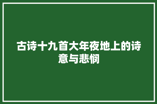 古诗十九首大年夜地上的诗意与悲悯