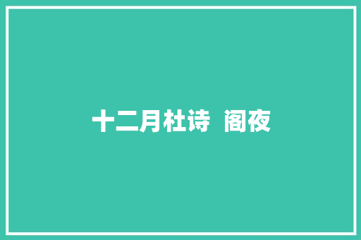 十二月杜诗  阁夜
