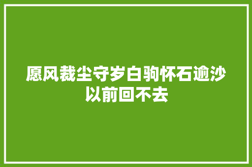愿风裁尘守岁白驹怀石逾沙以前回不去