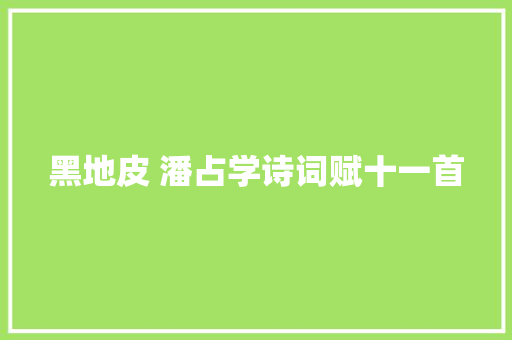黑地皮 潘占学诗词赋十一首