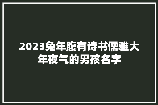 2023兔年腹有诗书儒雅大年夜气的男孩名字