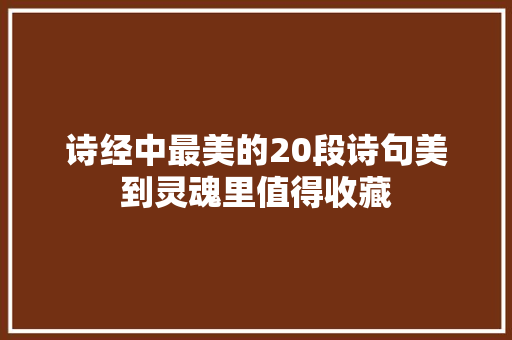 诗经中最美的20段诗句美到灵魂里值得收藏