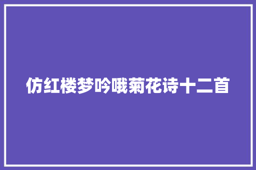 仿红楼梦吟哦菊花诗十二首
