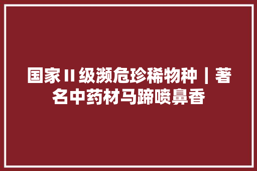 国家Ⅱ级濒危珍稀物种｜著名中药材马蹄喷鼻香