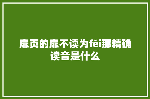 扉页的扉不读为fěi那精确读音是什么