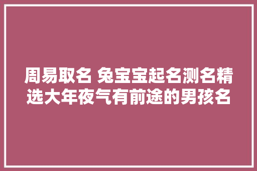 周易取名 兔宝宝起名测名精选大年夜气有前途的男孩名字