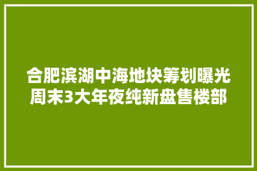 合肥滨湖中海地块筹划曝光周末3大年夜纯新盘售楼部开放