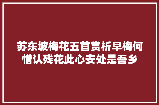 苏东坡梅花五首赏析早梅何惜认残花此心安处是吾乡