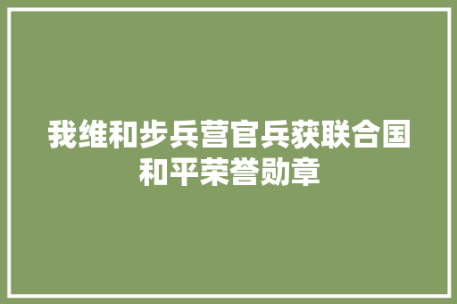 我维和步兵营官兵获联合国和平荣誉勋章