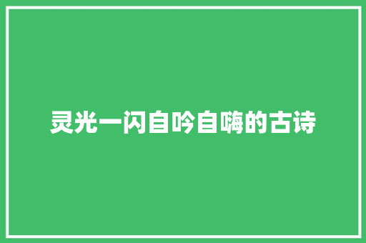 灵光一闪自吟自嗨的古诗